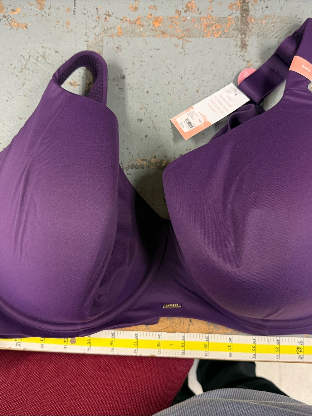 Lane Bryant Purple T-Shirt Bra with Underwire Support